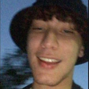 Meet your Posher, Raphael